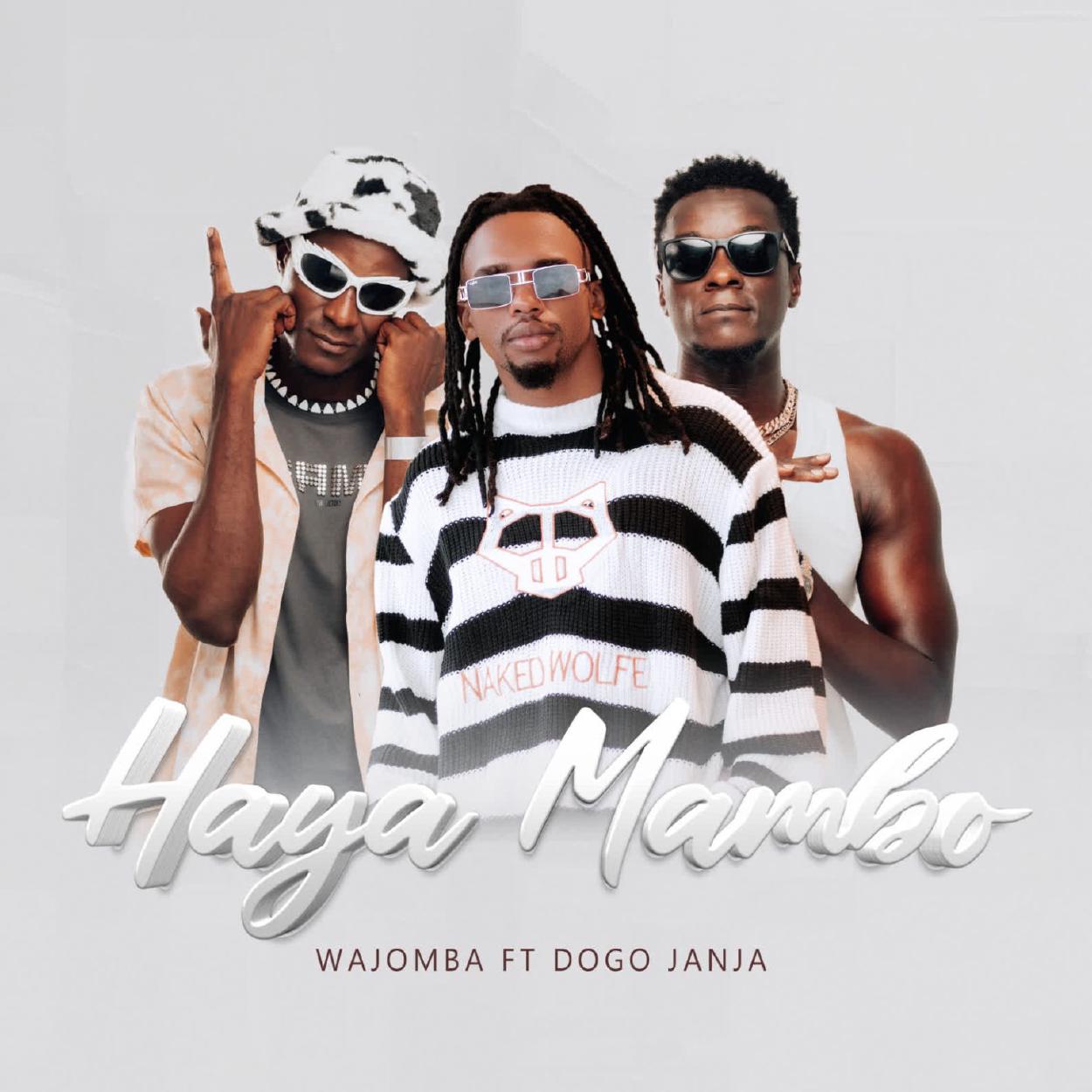 Audio:_Wajomba_Ft_Dogo_Janja_Haya_Mambo